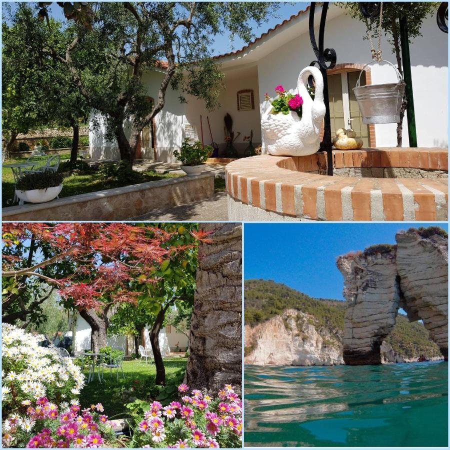 Elianti Bed & Breakfast Mattinata Exterior foto