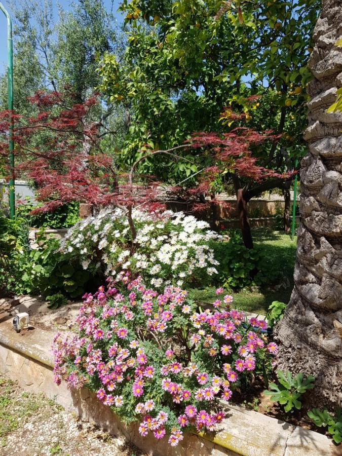 Elianti Bed & Breakfast Mattinata Exterior foto
